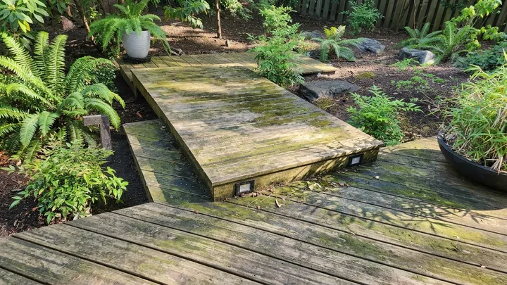 Wood deck platform coated in green algae and grime before pressure washing in Kirkland, WA