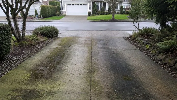Dirty residential concrete driveway with moss and stains before pressure washing in Bellevue, WA