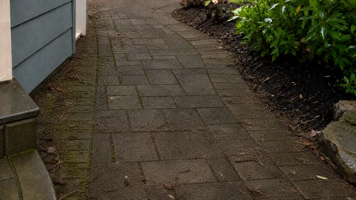Paver walkway darkened with moss and grime before pressure washing in Redmond, WA