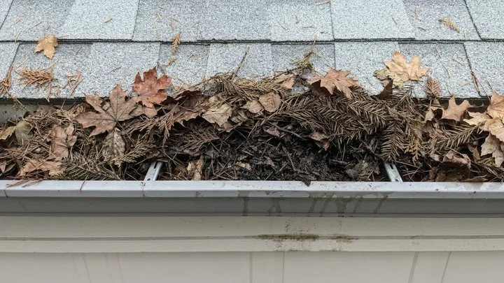 Gutter overflowing with leaves and grit before gutter cleaning in Bellevue, WA