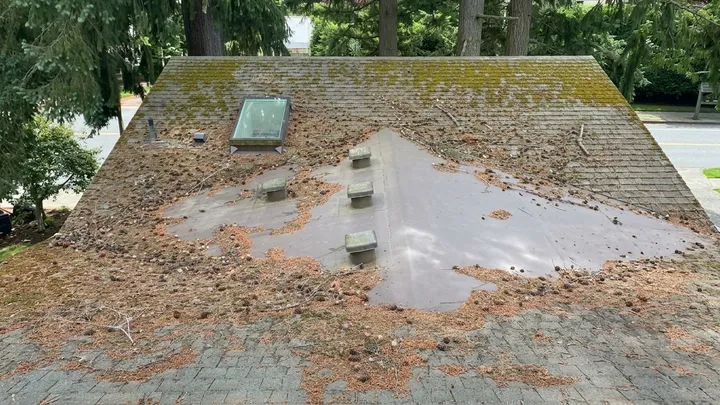 Asphalt shingle roof coated in thick moss and pine debris before soft-wash roof cleaning in Sammamish, WA