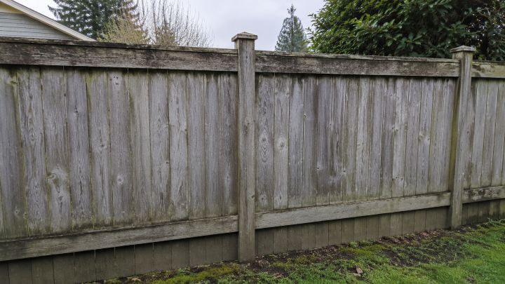 Faded, mildew-stained wood fence before pressure washing in Issaquah, WA