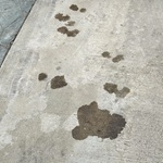 Driveway with oil and rust stains before remediation
