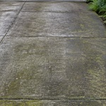 Concrete driveway with heavy moss and stains before pressure washing