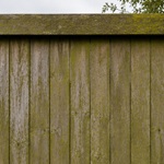 Heavily faded, mildew-stained wood fence before pressure washing