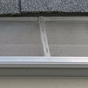Gutter covered with a mesh gutter guard