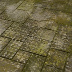 Backyard paver patio with heavy moss and algae before pressure washing