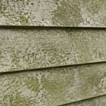 House siding with heavy algae and grime buildup before washing